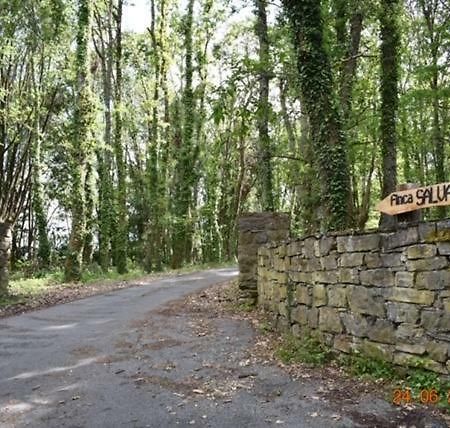 Finca Salvador Baralla Ngoại thất bức ảnh