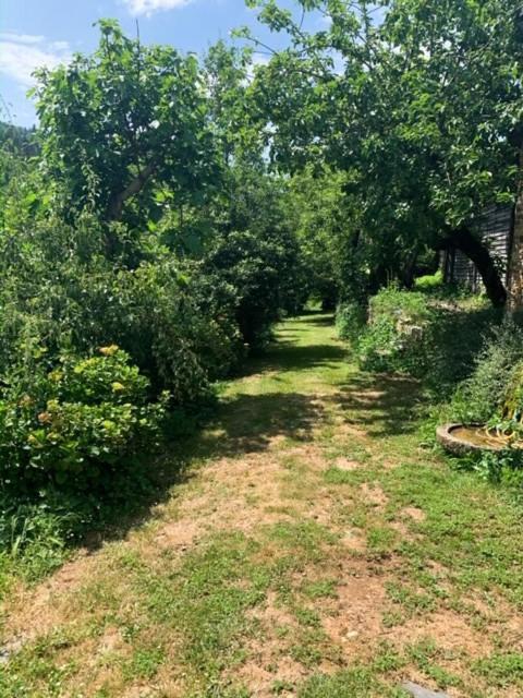 Finca Salvador Baralla Ngoại thất bức ảnh